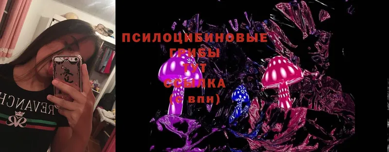 Псилоцибиновые грибы Cubensis  Воронеж 